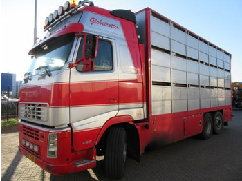 Caminhão transporte de gado VOLVO FH12