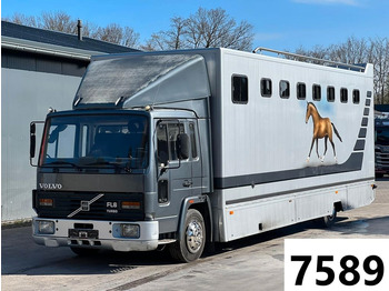 Caminhão para transporte de cavalos VOLVO FL6