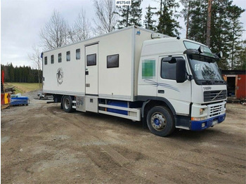 Caminhão transporte de gado VOLVO FM7