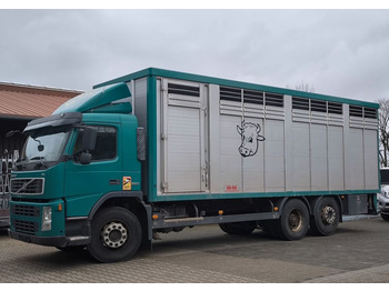 Caminhão transporte de gado VOLVO FM