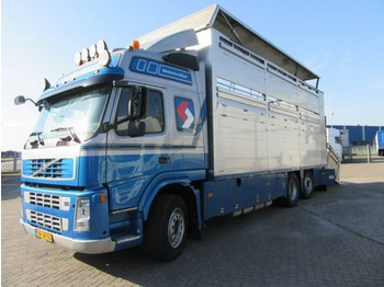 Caminhão transporte de gado VOLVO FM9