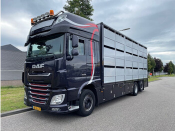 DAF XF 460 2017 berdex 3 lagen varkens - Caminhão transporte de gado: foto 1