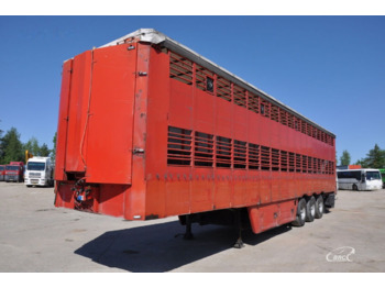 Pezzaioli SCT63U - Semireboque transporte de gado: foto 1
