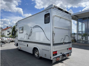 MERCEDES-BENZ Atego LKW - Caminhão para transporte de cavalos: foto 3