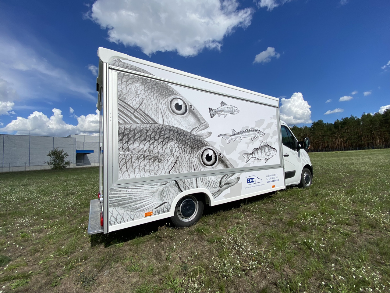 BCC Polska Sp. z o.o. - veículos a venda undefined: foto 37