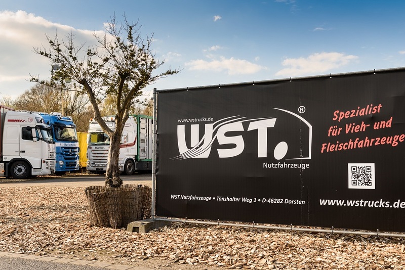 WS Trucks GmbH - veículos a venda undefined: foto 4