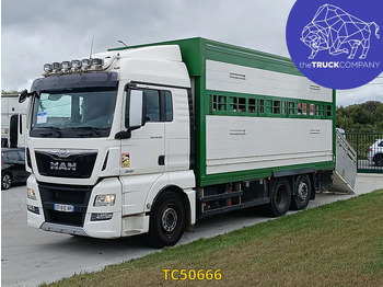 Caminhão transporte de gado MAN TGX