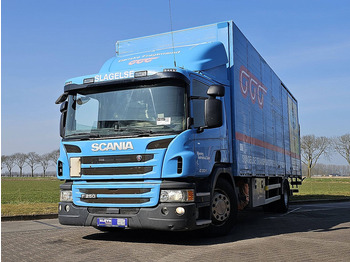 Caminhão furgão SCANIA P 250
