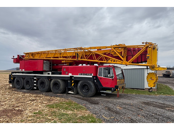 Guindaste móvel LIEBHERR LTM 1100