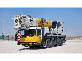 Grua todo o terreno GROVE