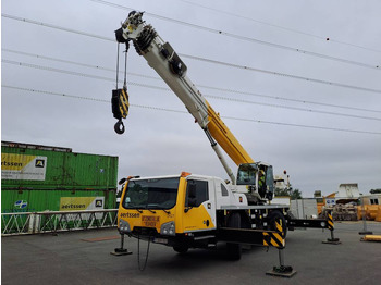 Grua todo o terreno DEMAG