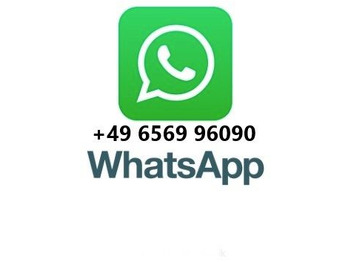 Caminhão chassi Mercedes-Benz Actros 3340 6x6 Dautel Wechselsystem + Kupplung: foto 2