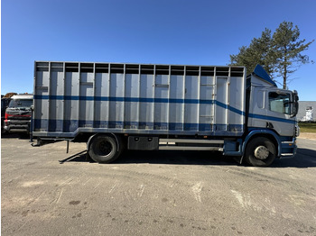 Caminhão furgão Scania P310 4x2 BOX 7m - MANUAL - AIR SUSPENSION - A/C - BELGIAN TRUCK: foto 3
