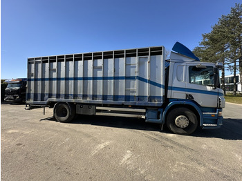 Caminhão furgão Scania P310 4x2 BOX 7m - MANUAL - AIR SUSPENSION - A/C - BELGIAN TRUCK: foto 2