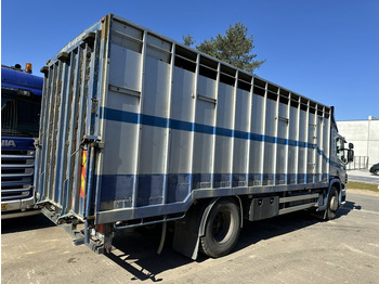 Caminhão furgão Scania P310 4x2 BOX 7m - MANUAL - AIR SUSPENSION - A/C - BELGIAN TRUCK: foto 4