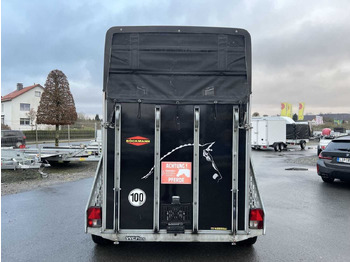 Reboque para cavalos BOECKMANN Master S - WCF ALB Pferdeanhänger: foto 3