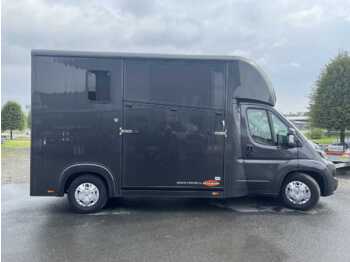 Caminhão para transporte de cavalos FIAT