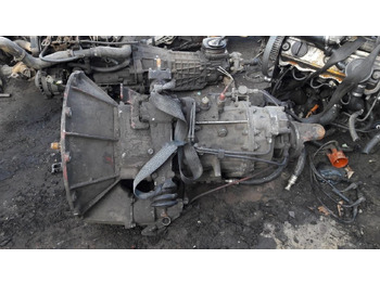 : foto do cabeçalho