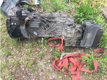 : foto do cabeçalho