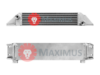 : foto do cabeçalho