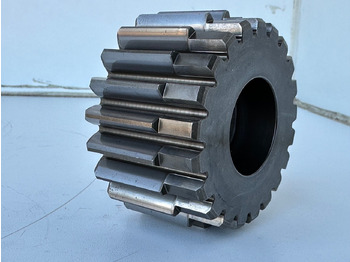 : foto do cabeçalho