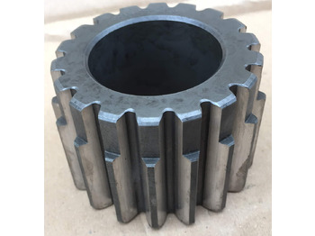 : foto do cabeçalho