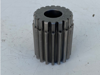 : foto do cabeçalho