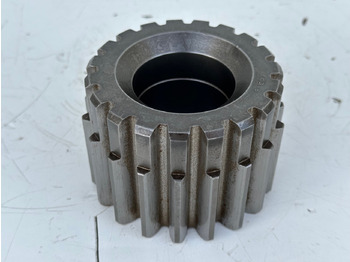 : foto do cabeçalho