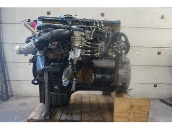 : foto do cabeçalho