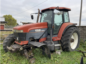 : foto do cabeçalho