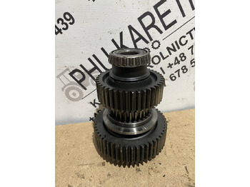 : foto do cabeçalho