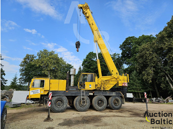 Grua todo o terreno LIEBHERR LTM 1060