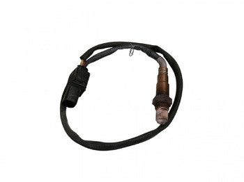 : foto do cabeçalho