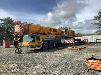 Grua todo o terreno LIEBHERR