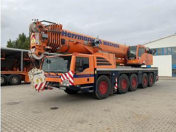Grua todo o terreno DEMAG