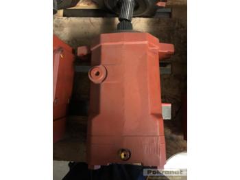 : foto do cabeçalho