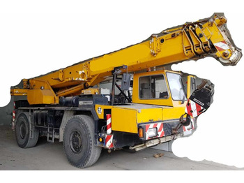Guindaste móvel LIEBHERR LTM 1025