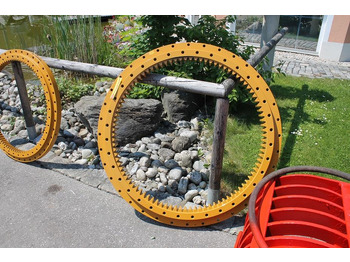 : foto do cabeçalho