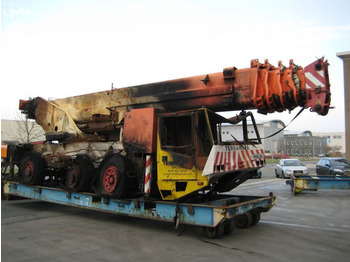 Grua todo o terreno TEREX