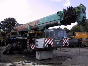 Grua todo o terreno TEREX