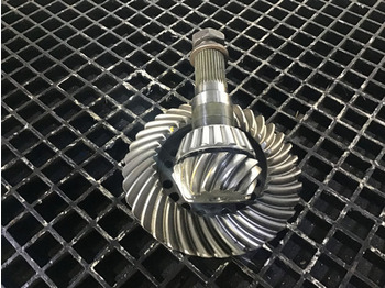 : foto do cabeçalho