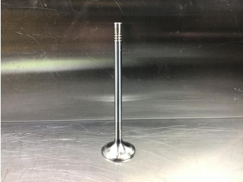 Motor e peças LIEBHERR