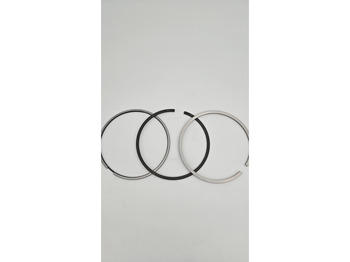 Motor e peças LIEBHERR