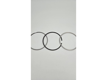 Motor e peças LIEBHERR