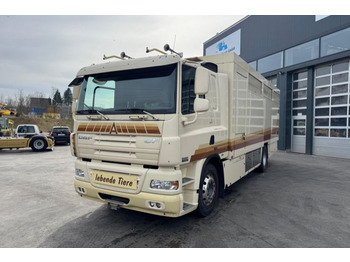 Caminhão para transporte de cavalos DAF CF 410
