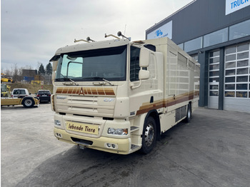 Caminhão transporte de gado DAF CF 410