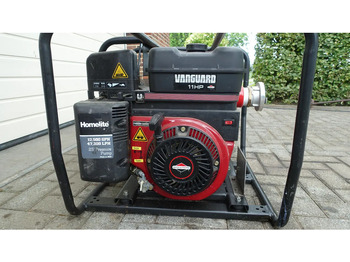 Bomba de água Briggs en Stratton Homelite FP250V waterpomp: foto 2
