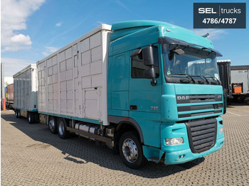 Caminhão transporte de gado DAF XF 105.460  / Intarder / 4 Stock / KOMPLETT ! DAF XF 105.460  / Intarder / 4 Stock / KOMPLETT !: foto 4