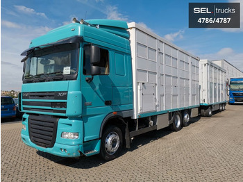 Caminhão transporte de gado DAF XF 105.460  / Intarder / 4 Stock / KOMPLETT ! DAF XF 105.460  / Intarder / 4 Stock / KOMPLETT !: foto 2