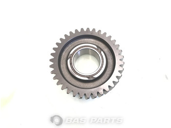 : foto do cabeçalho